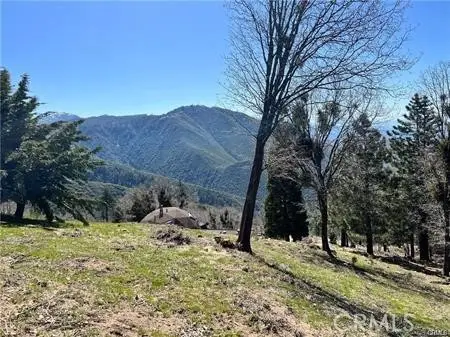 41 Fredalba Road, Running Springs, CA 92382