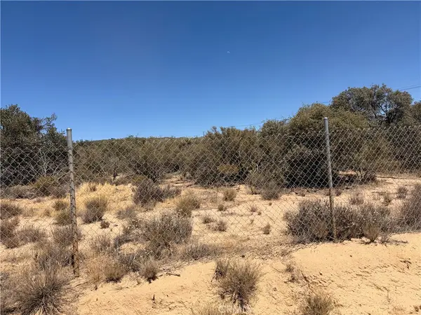 90002 Wellman, Anza, CA 92539
