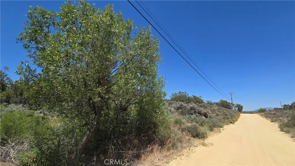 38375 Indian Road, Anza, CA 92539 - #1