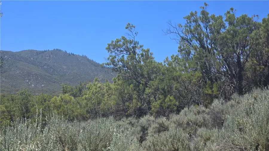 38375 Indian Road, Anza, CA 92539 - #3