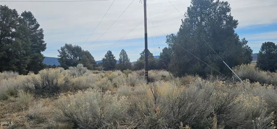 0 Boy Scout Camp Road, Frazier Park, CA 93225 - #3