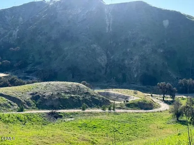 31029 Hasley Canyon Road, Castaic, CA 91384 - #1