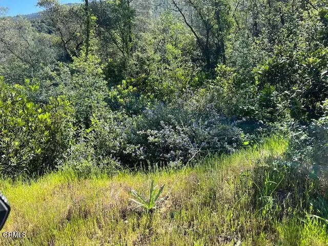 0 Rocky Top Road, Oroville, CA 95965 - #1