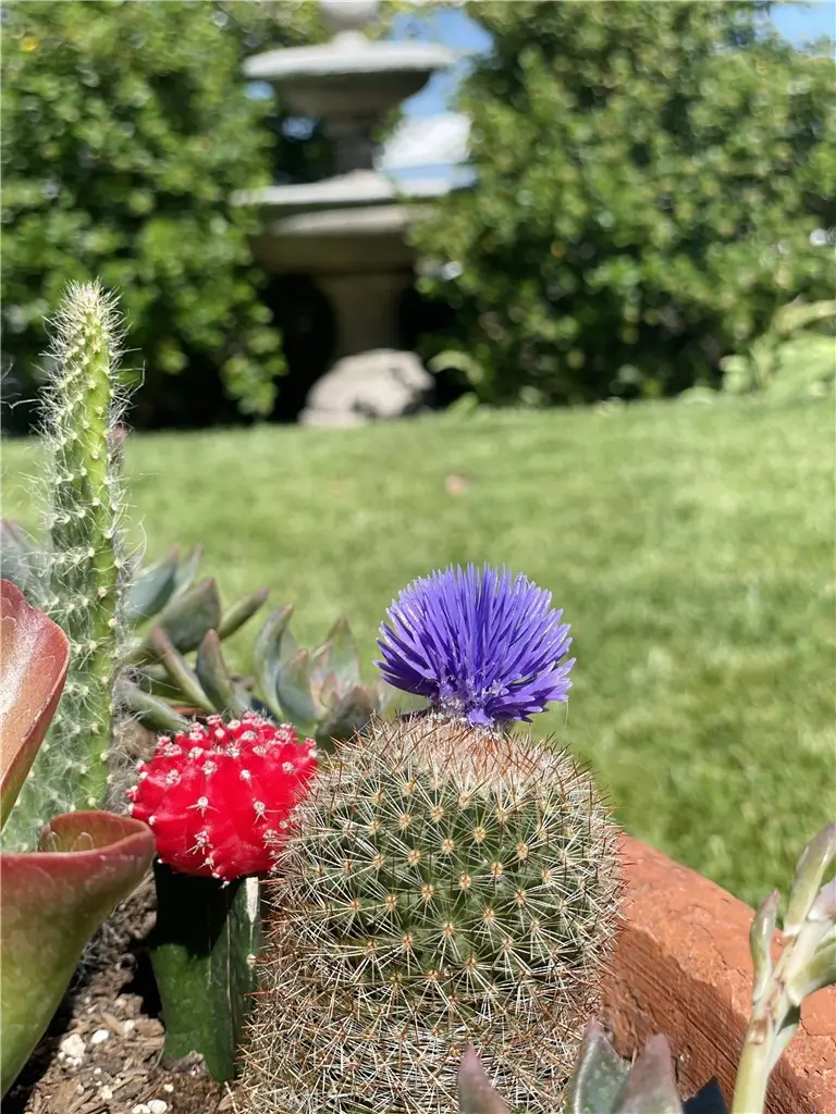 15435 Live Oak Springs Canyon, Canyon Country, CA 91387 - Image #3