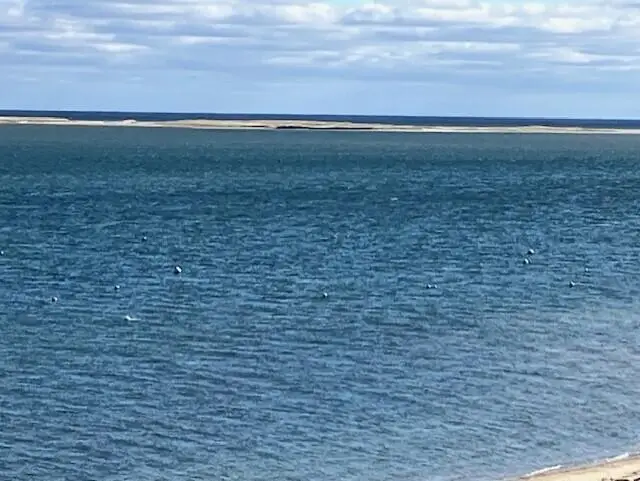 238 Cranberry Lane, North Chatham, MA 02650 - #2