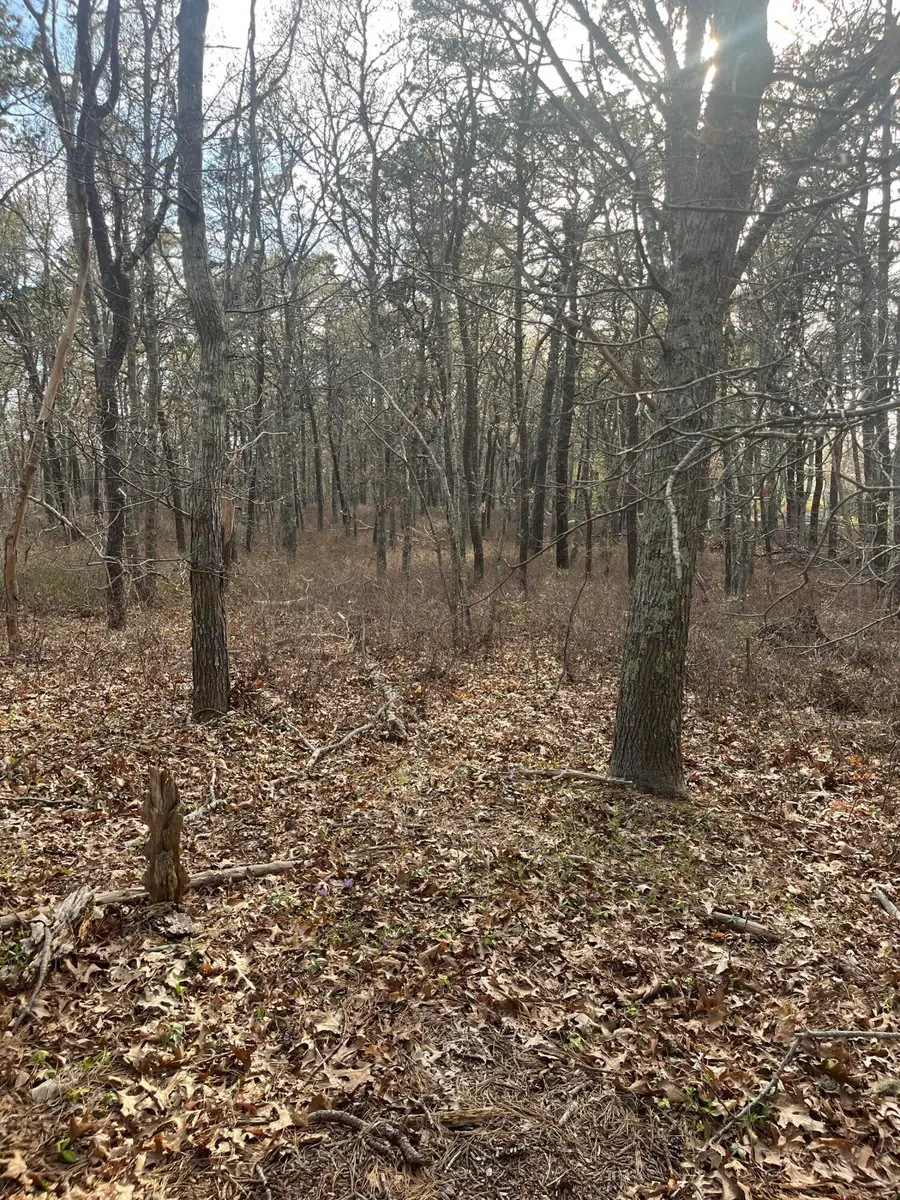 37 Cyprus Road, South Dennis, MA 02660 - Image #2