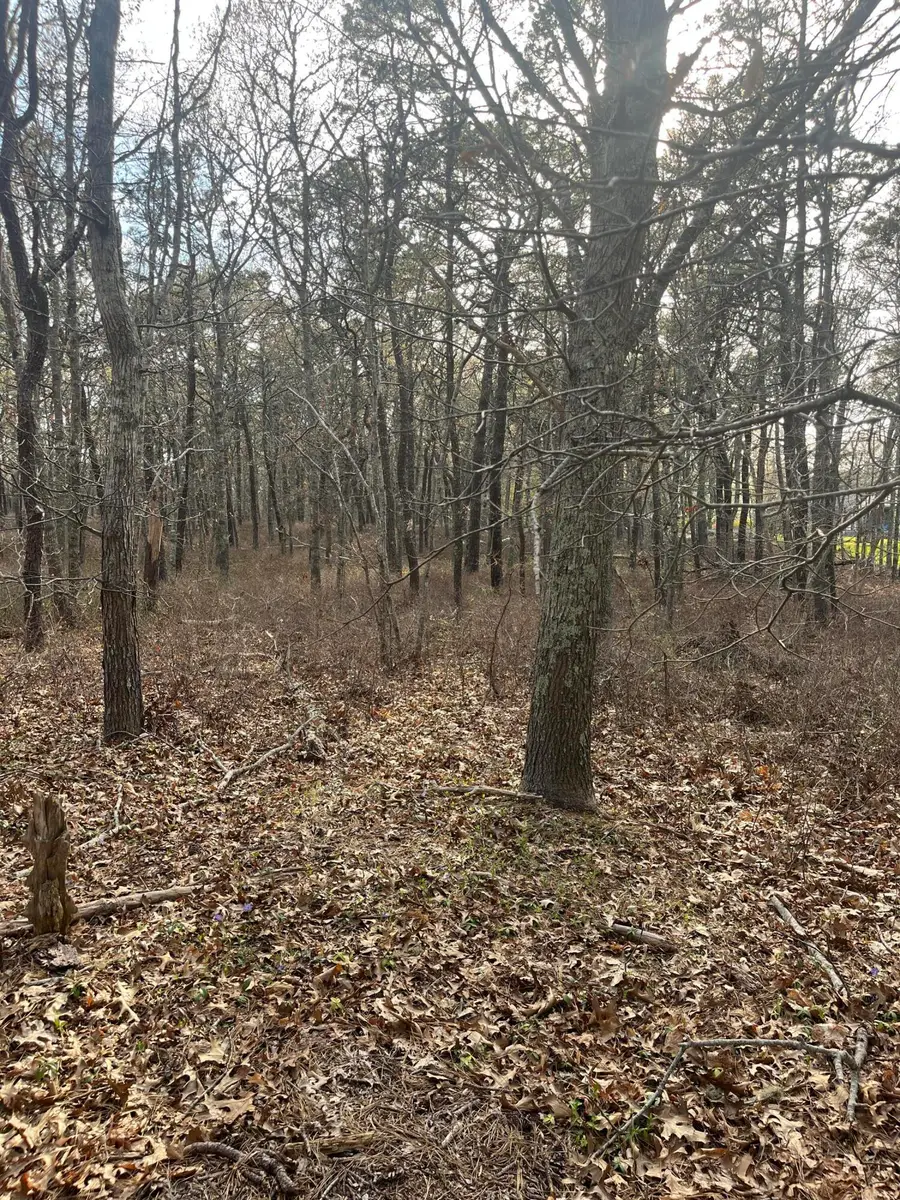 37 Cyprus Road, South Dennis, MA 02660 - Image #3