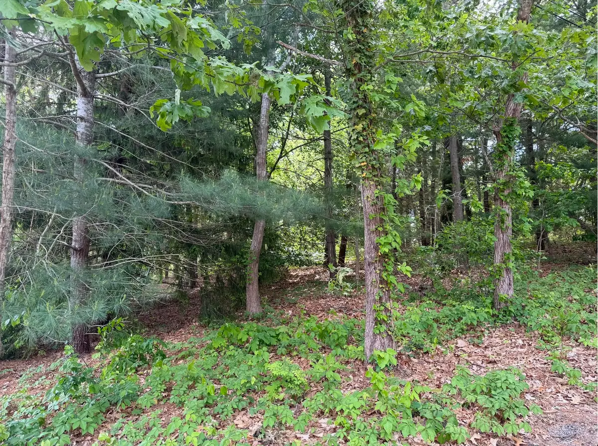 17 Fairmount Road, South Dennis, MA 02660 - Image #1