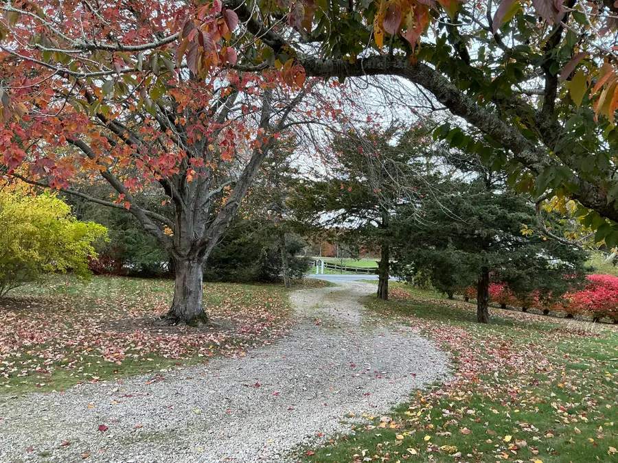 544 Cotuit (route-149) Road, Marstons Mills, MA 02648 - Image #2