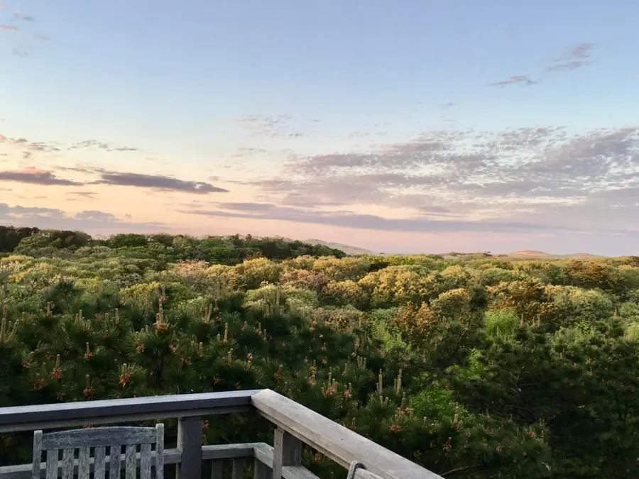 9 Thistlemore Road, Provincetown, MA 02657 - Image #3