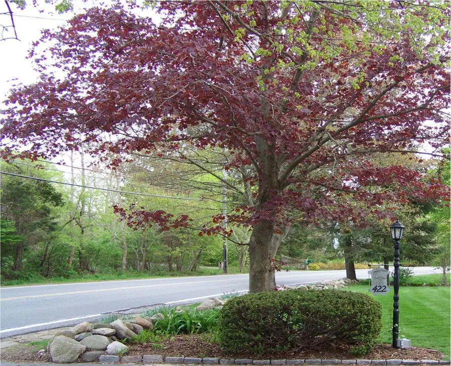 422 River Street, Norwell, MA 02061 - #2