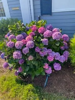 21 Brae Burn Lane, South Yarmouth, MA 02664 - #2