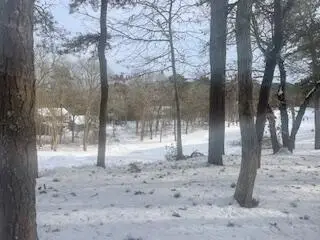 54 Kates Path, Yarmouth Port, MA 02675 - #3