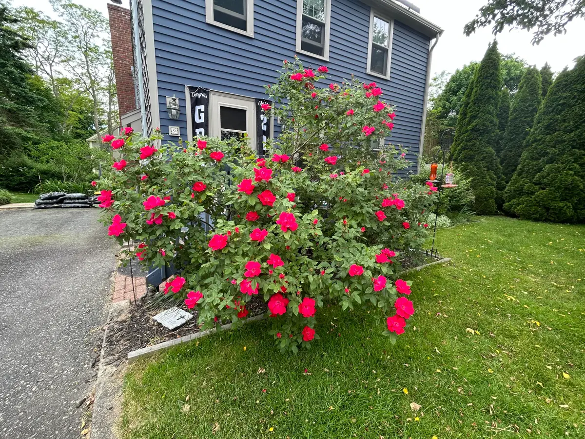 9 Bittersweet Road, East Falmouth, MA 02536 - #1