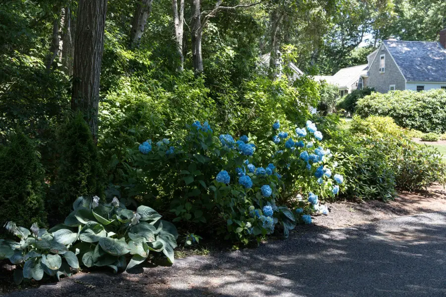 17 Sky Meadow Drive, Orleans, MA 02653 - #2