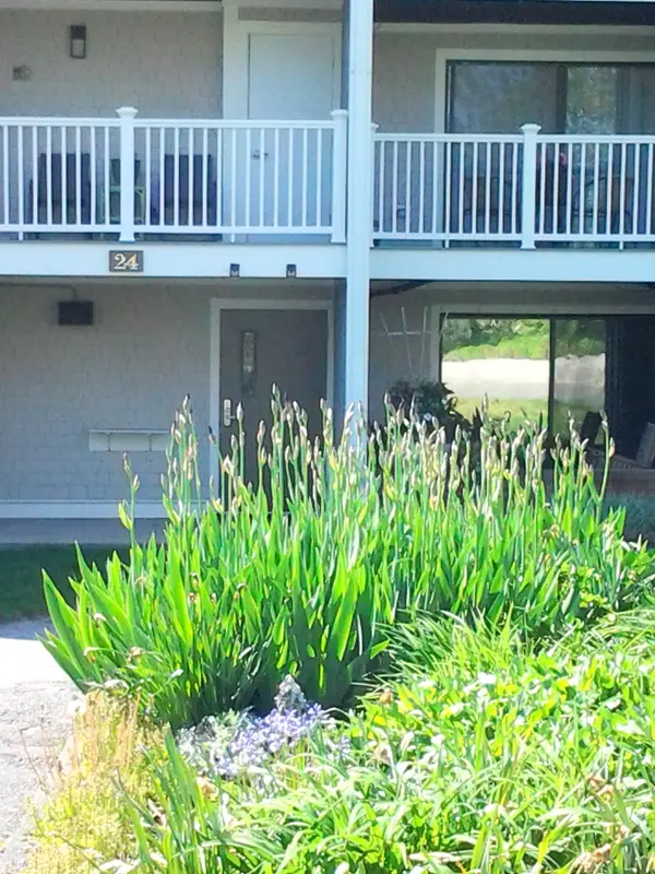 24 Old Colony Way #APT 19, Orleans, MA 02653