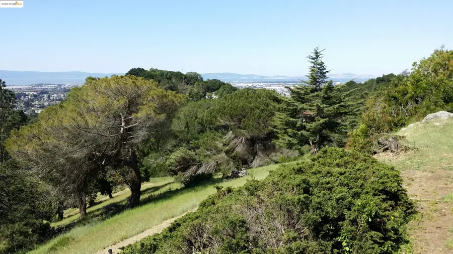 11320 Lochard Street, Oakland, CA 94605 - Image #3