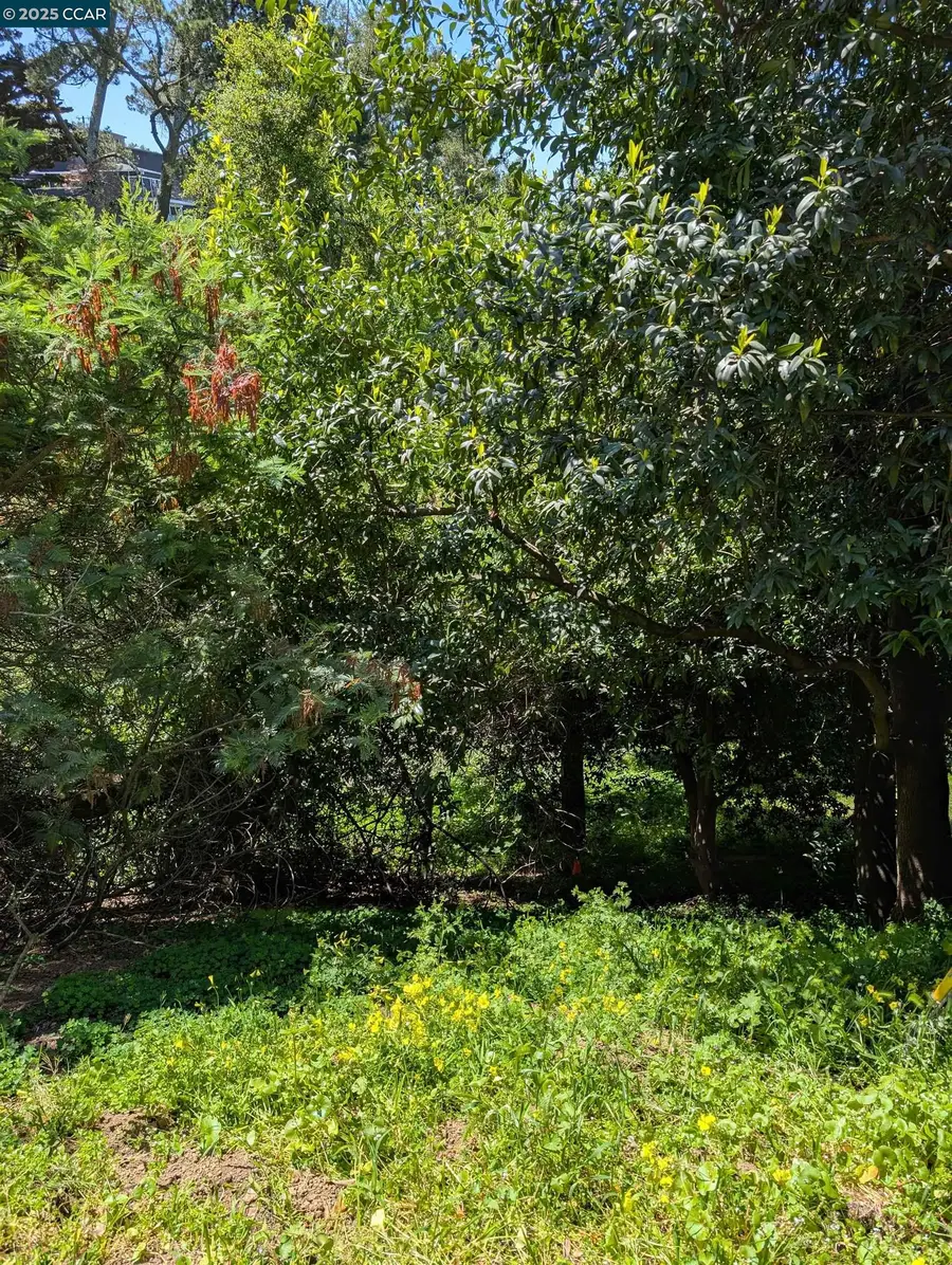 528 Panoramic Way, Oakland, CA 94704 - Image #2