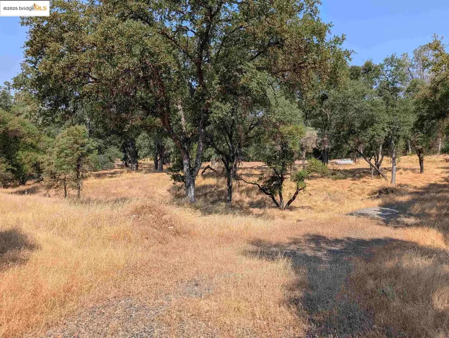 18340 Henry D Ct, Sonora, CA 95370 - #3