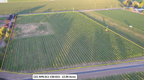 11680 Byron Highway, BRENTWOOD, CA 94513