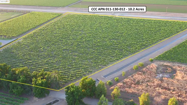 11650 Byron Highway, BRENTWOOD, CA 94513