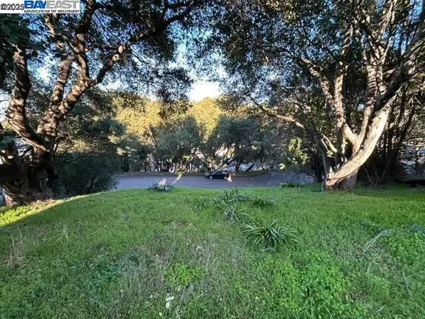 Morse Ave, HAYWARD, CA 94542