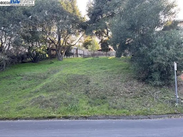 Morse Ave, Hayward, CA 94542 - #2