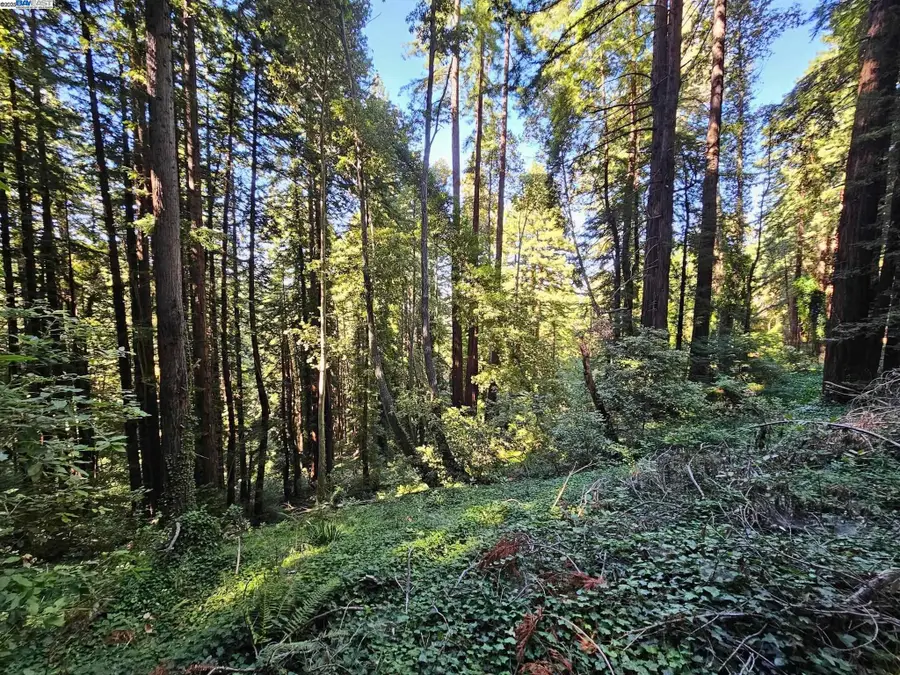 Lot26 Old La Honda Rd, Woodside, CA 94062 - Image #2