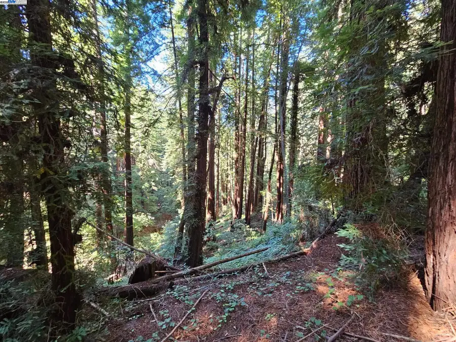 Lot26 Old La Honda Rd, Woodside, CA 94062 - Image #3