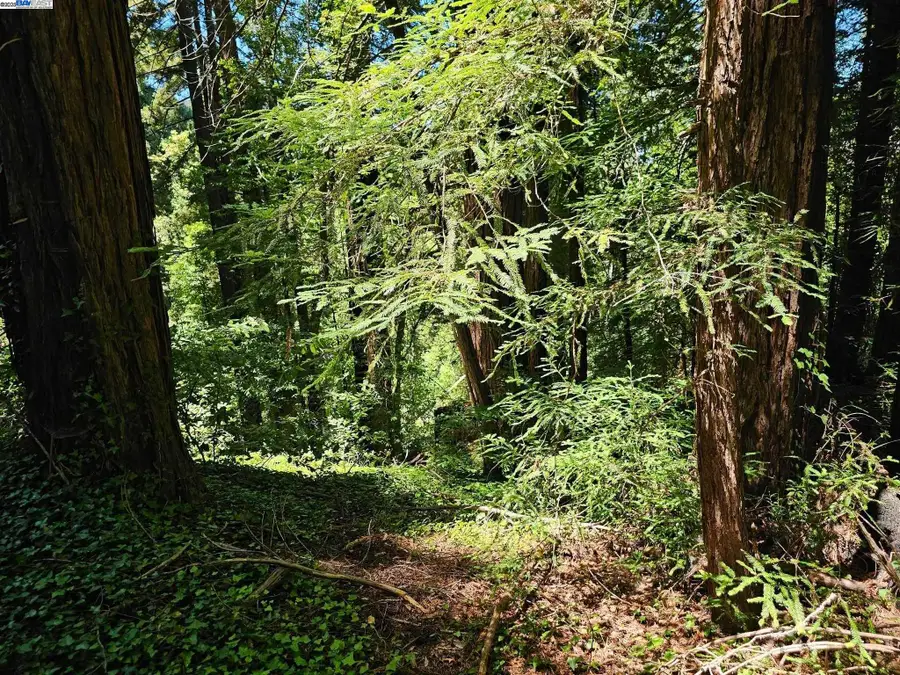 LOT27 Old La Honda Rd, Woodside, CA 94062 - #3