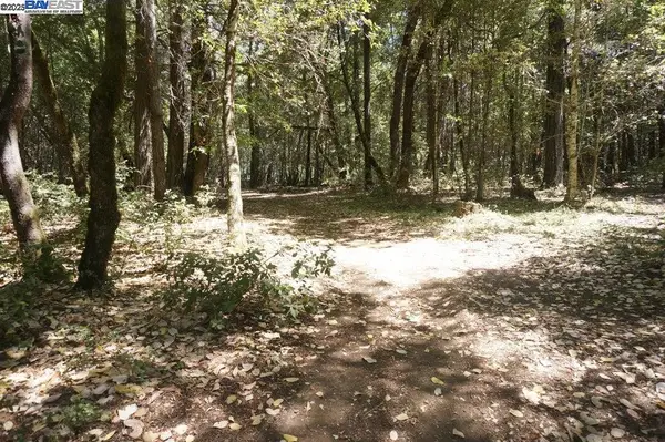 800 Suzy Q Rd, SALYER, CA 95527