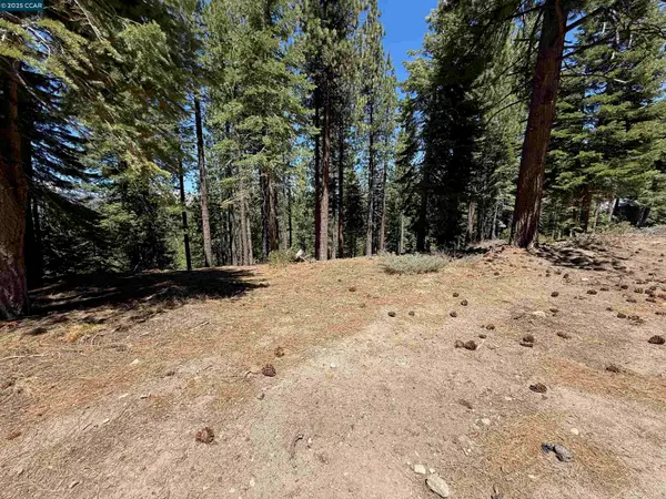1578 Skyline Drive, SOUTH LAKE TAHOE, CA 96150