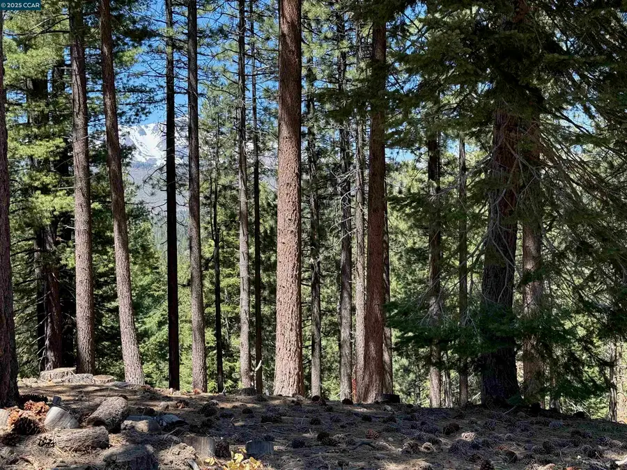 1578 Skyline Drive, South Lake Tahoe, CA 96150 - #3