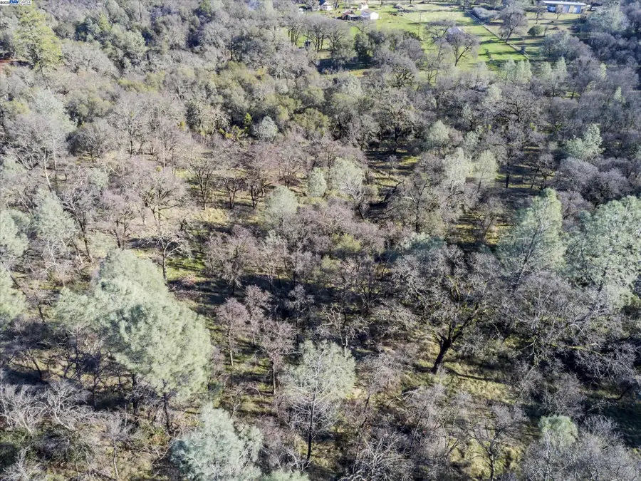 14011 Neptune Ln, Browns Valley, CA 95918 - #2