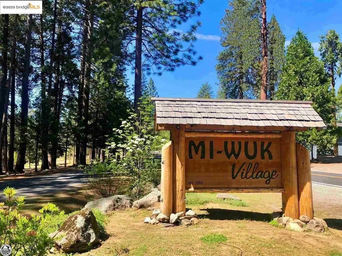 000 Olo Win Trail, Mi Wuk Village, CA 95346 - Image #1