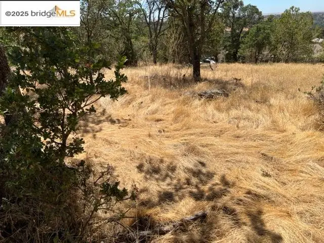 4088 Bartelink, Valley Springs, CA 95252 - Image #3