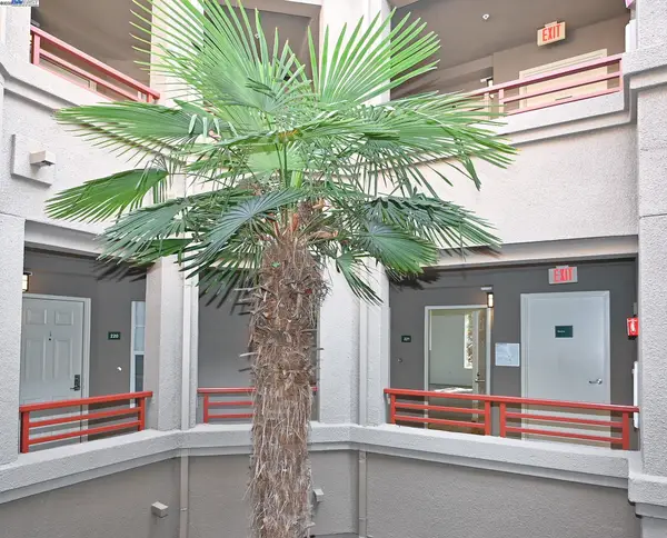 280 Caldecott Ln  #221, OAKLAND, CA 94618