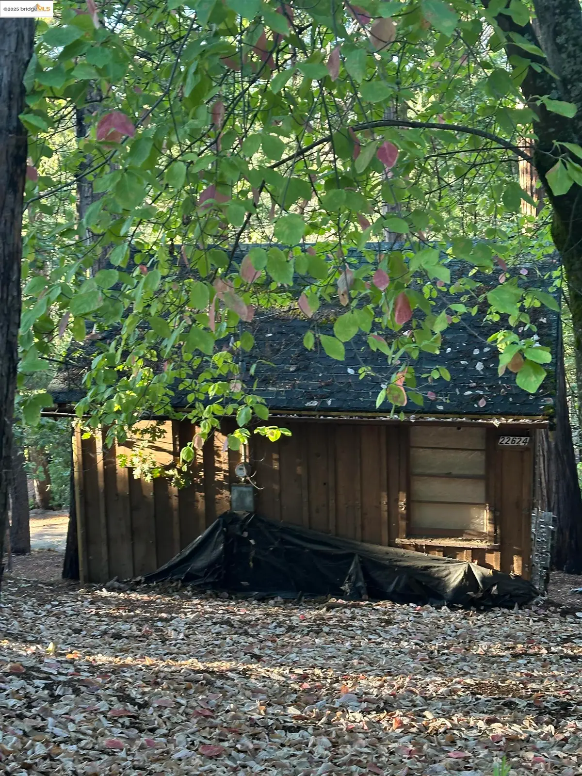 22624 Tamarack Dr, Twain Harte, CA 95383 - Image #1