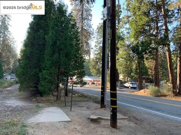 22975 Twain Harte Dr, TWAIN HARTE, CA 95383