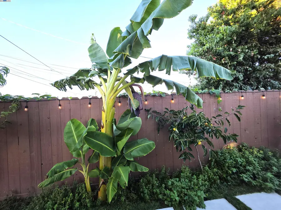 10468 West Court, Oakland, CA 94603 - Image #3