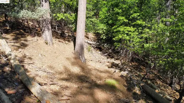 23804 Oxbow Lane, SONORA, CA 95370