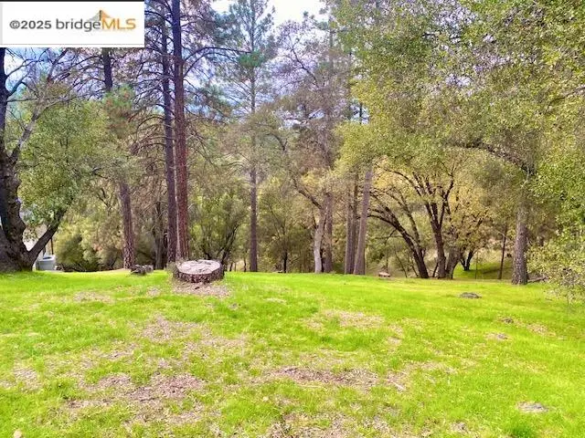 19703 Cottonwood St, Groveland, CA 95321 - Image #3