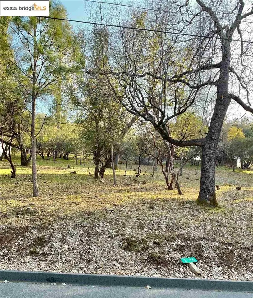 13177 Jackson Mill Drive, Groveland, CA 95321 - Image #2