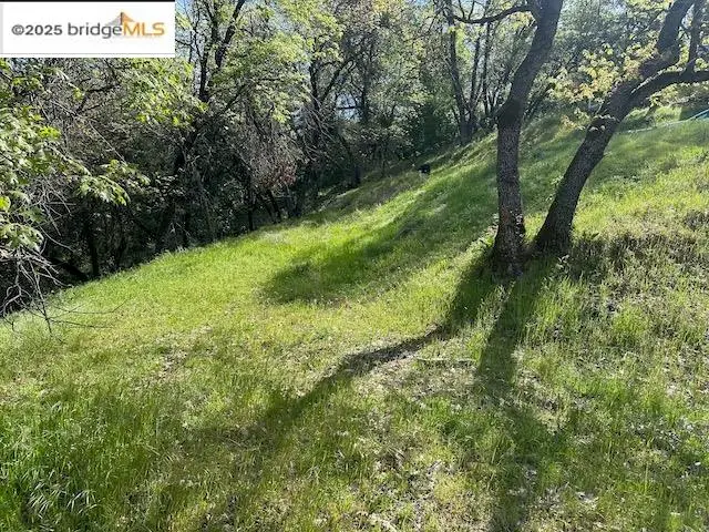 21327 American River Dr, Sonora, CA 95370 - Image #3