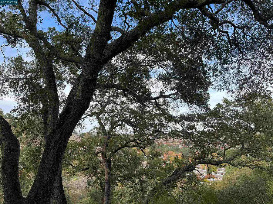 3120 Ptarmigan Dr.  #3, Walnut Creek, CA 94595 - Image #3