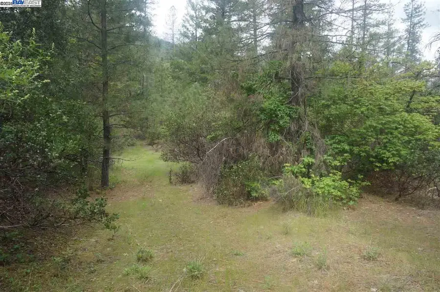 6269 Dutch Creek, Junction City, CA 96048 - #2