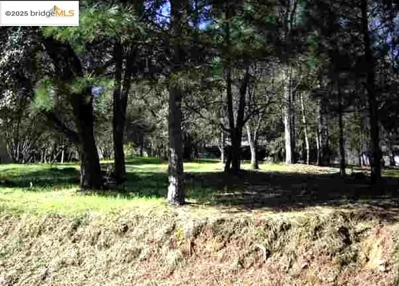 13137 Jackson Mill Dr, Groveland, CA 95321 - Image #1