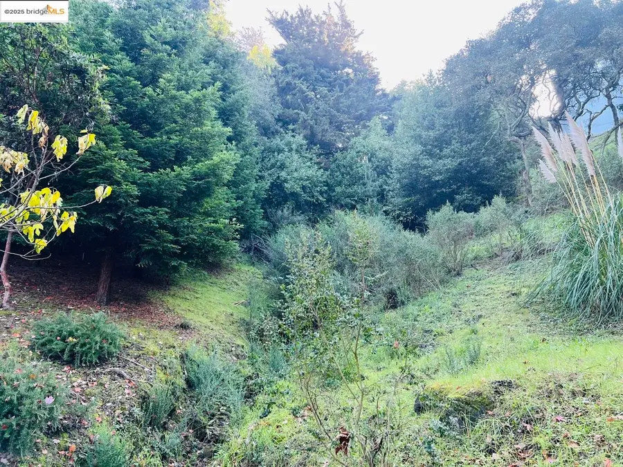 6636 Exeter DR, Oakland, CA 94611 - Image #3