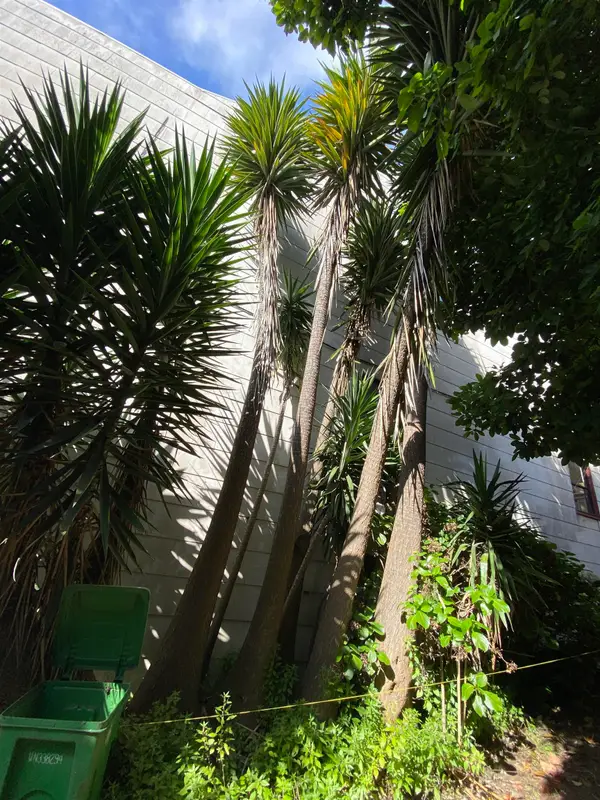 3529 Mission St, San Francisco County, CA 94110