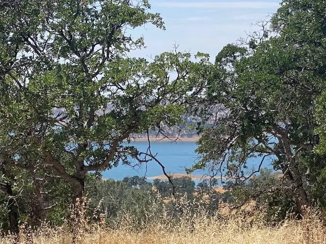 00000 Arbolada Dr, Lake Don Pedro, CA 95329 - #3